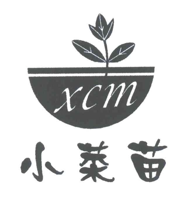 小菜苗;XCM
