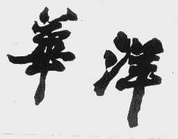 华洋