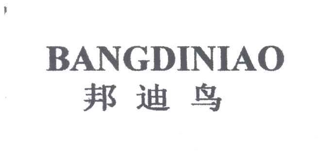 邦迪鸟
