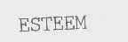 ESTEEM