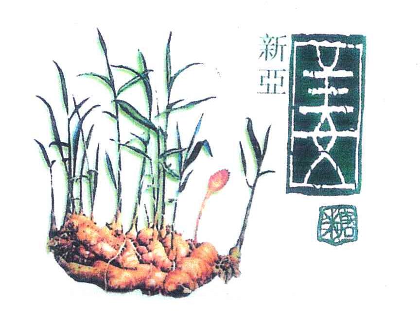 新亚姜糖