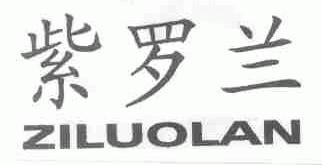 紫罗兰