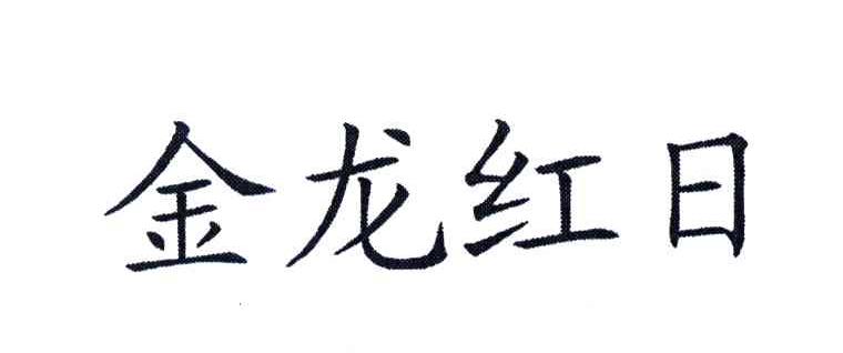 金龙红日