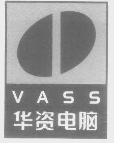 华资   VASS