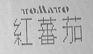 红蕃茄    TOMATO