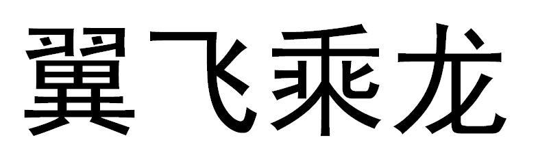 翼飞乘龙