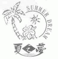 夏之梦;SUMMER DREAM