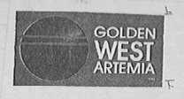 GOLDEN WEST ARTEMIA