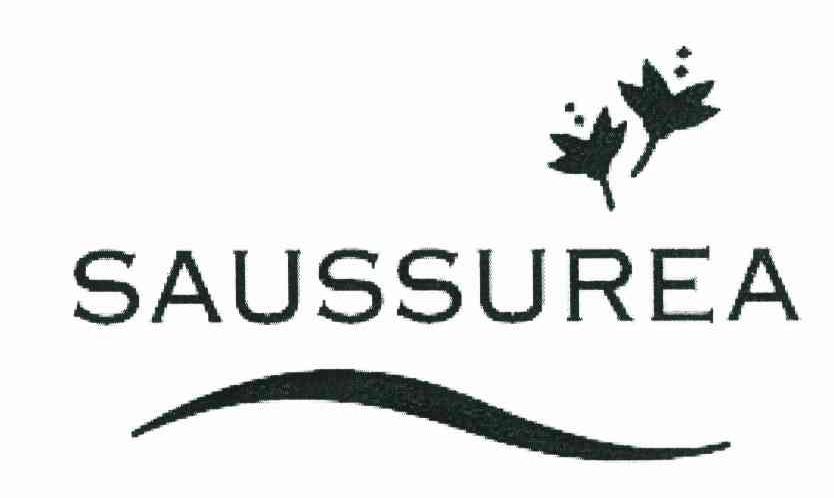 SAUSSUREA