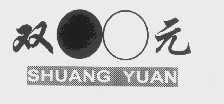 双元