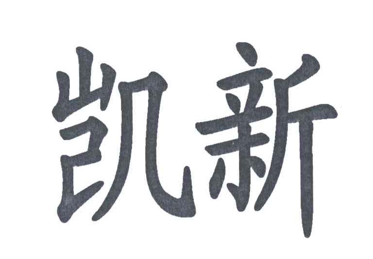 凯新