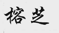 榕芝