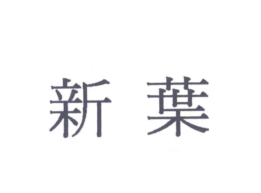 新叶