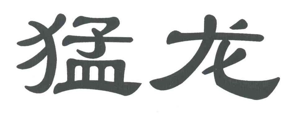 猛龙