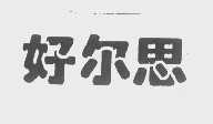 好尔思