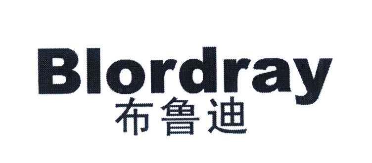 布鲁迪;BLORDRAY