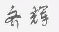 齐辉