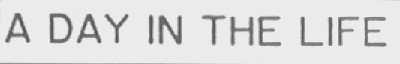 ADAY IN THE LIFE