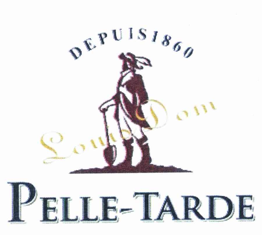 SOUIO DOM PELLETARDE DEPUIS 1860
