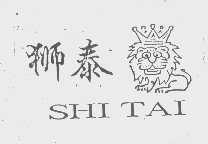 狮泰