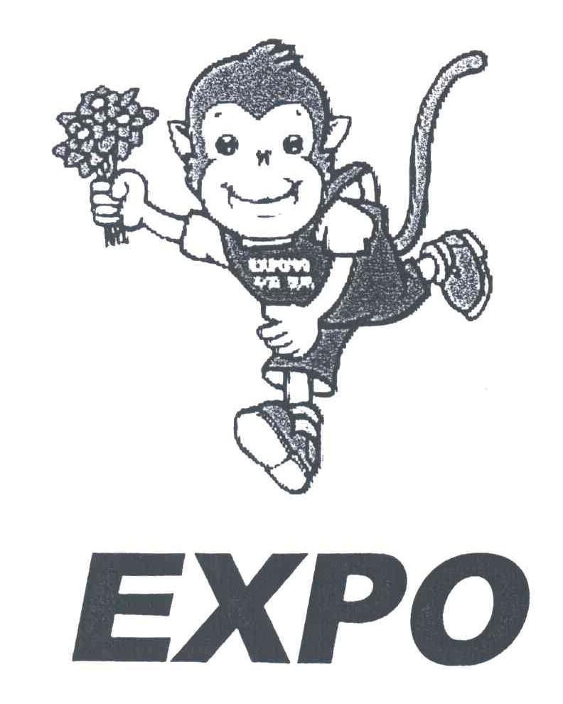 EXPO及图