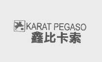 鑫比卡索   KARAT PEGASO