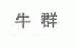 牛群