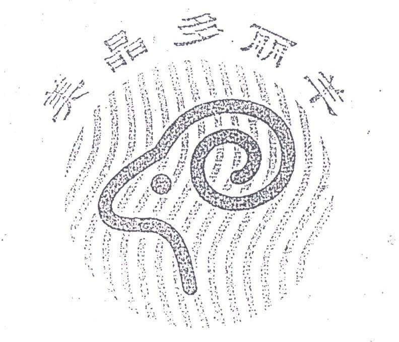 美晶多丽羊