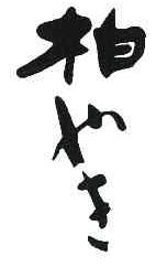柏