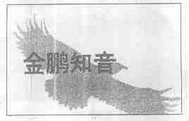 金鹏知音