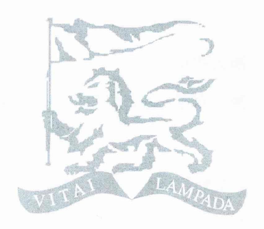 VITAI LAMPADA