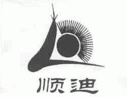 顺迪