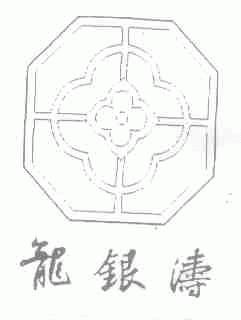 龙银涛