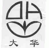 大华
