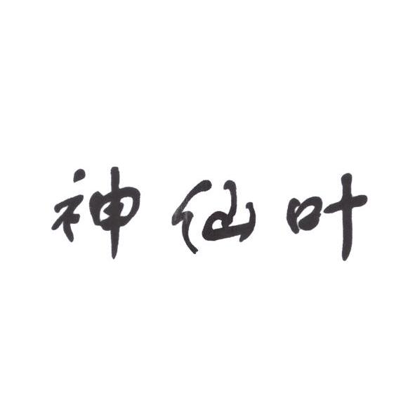 神仙叶