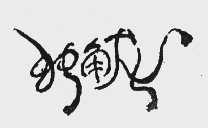 独角龙