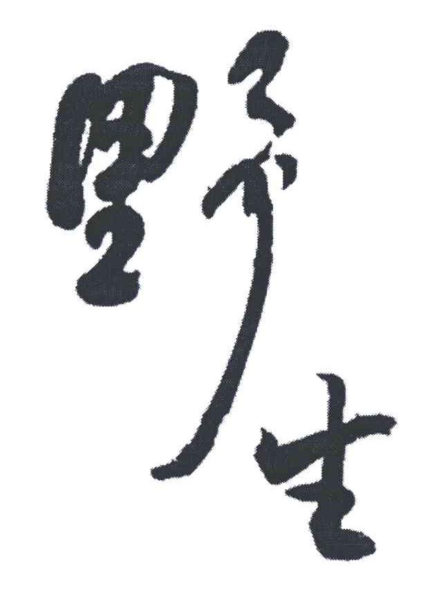 野生