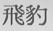飞豹