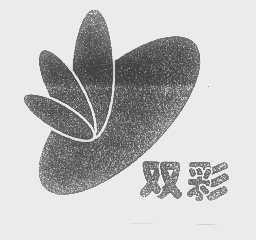 双彩