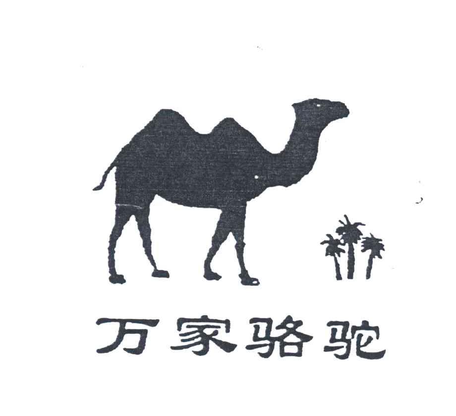 万家骆驼