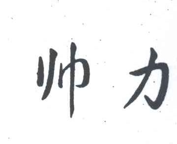 帅力