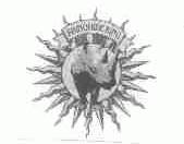 RHINOHIDE KING