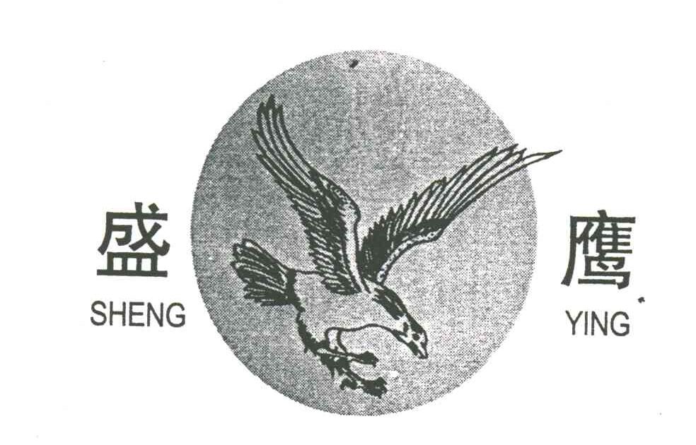盛鹰