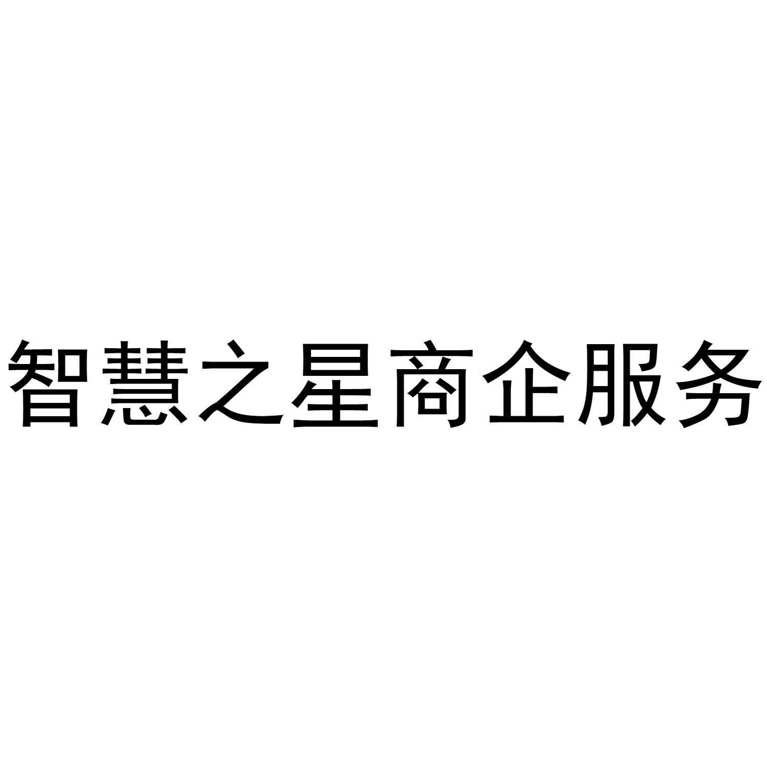 智慧之星商企服务