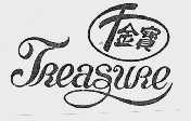 千金宝  TREASURE