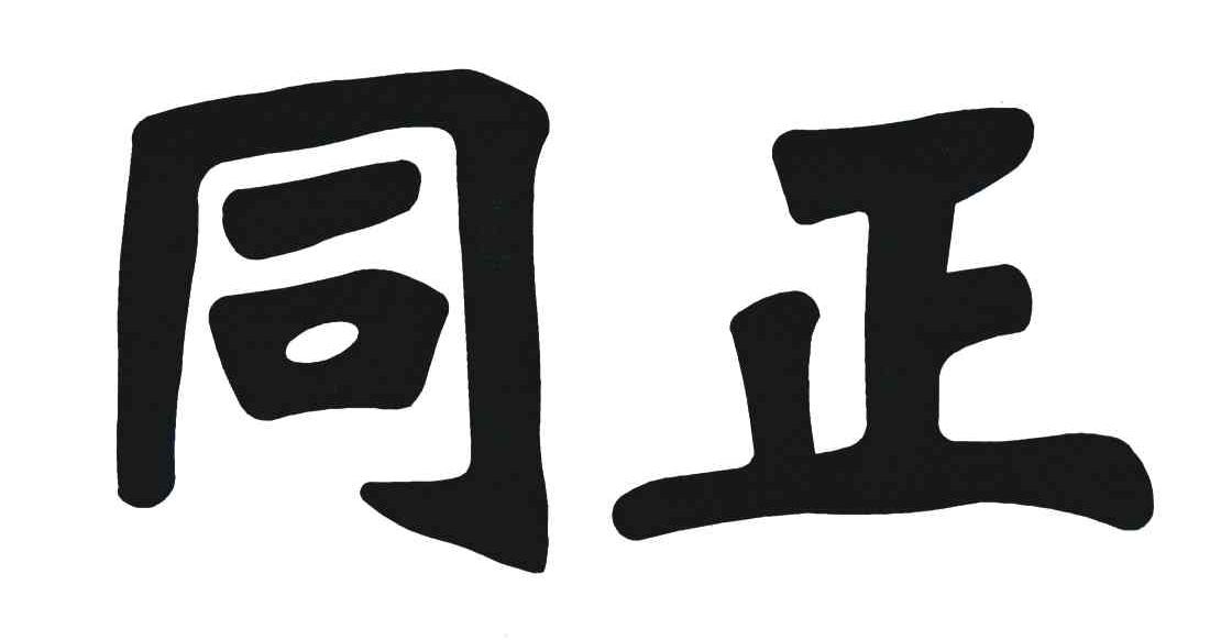 同正