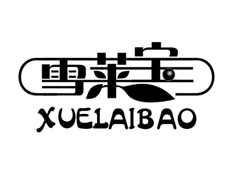 雪莱宝