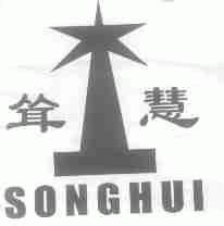耸慧