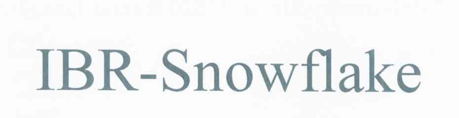 IBRSNOWFLAKE
