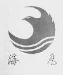 海鹰